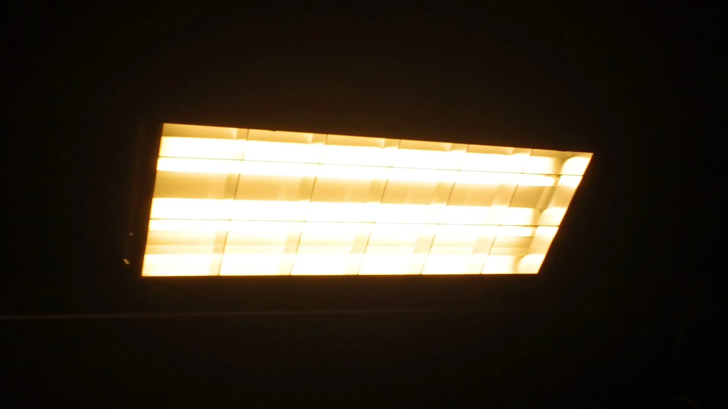 DSC00059.webp