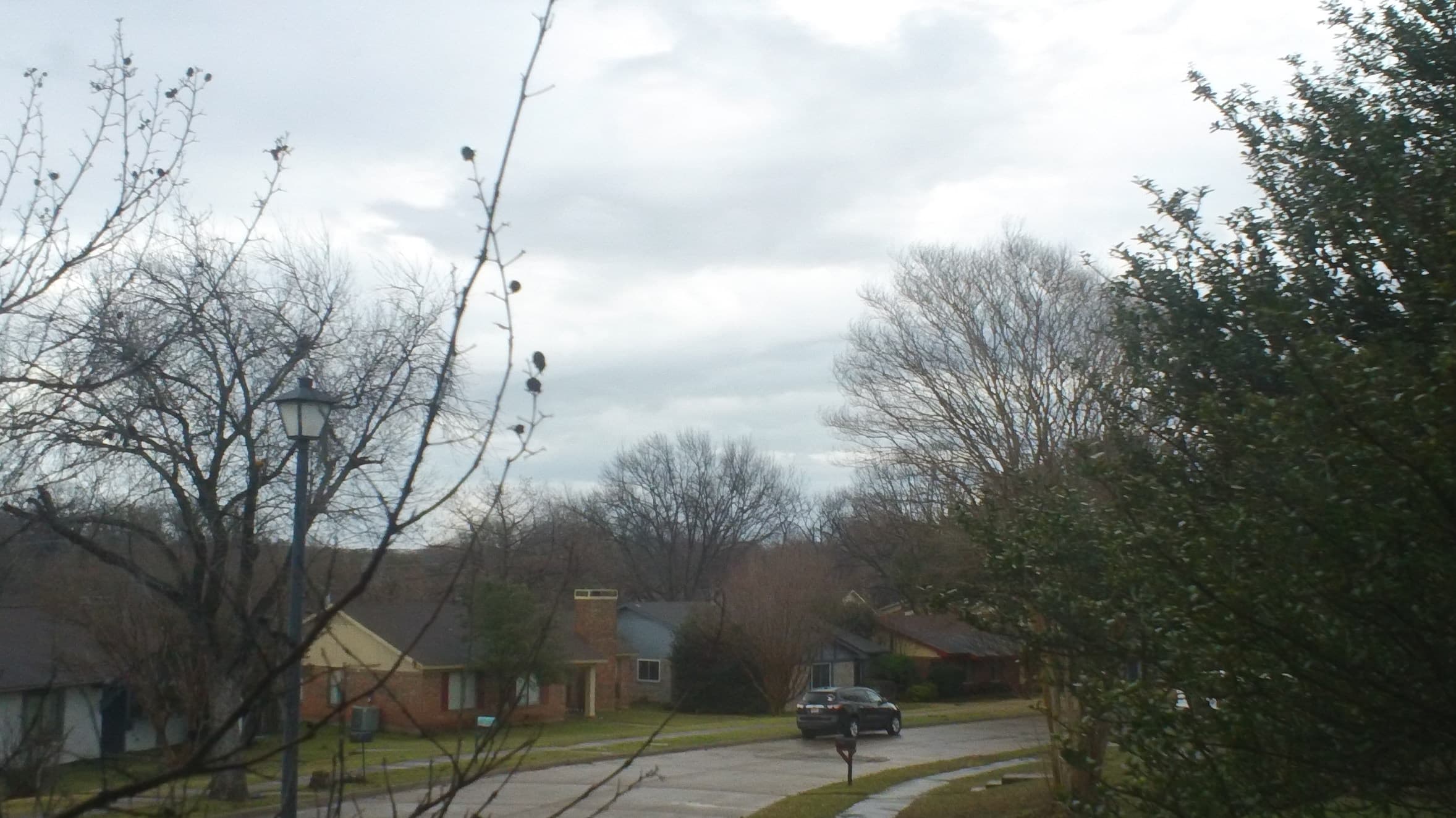 DSC00001.JPG