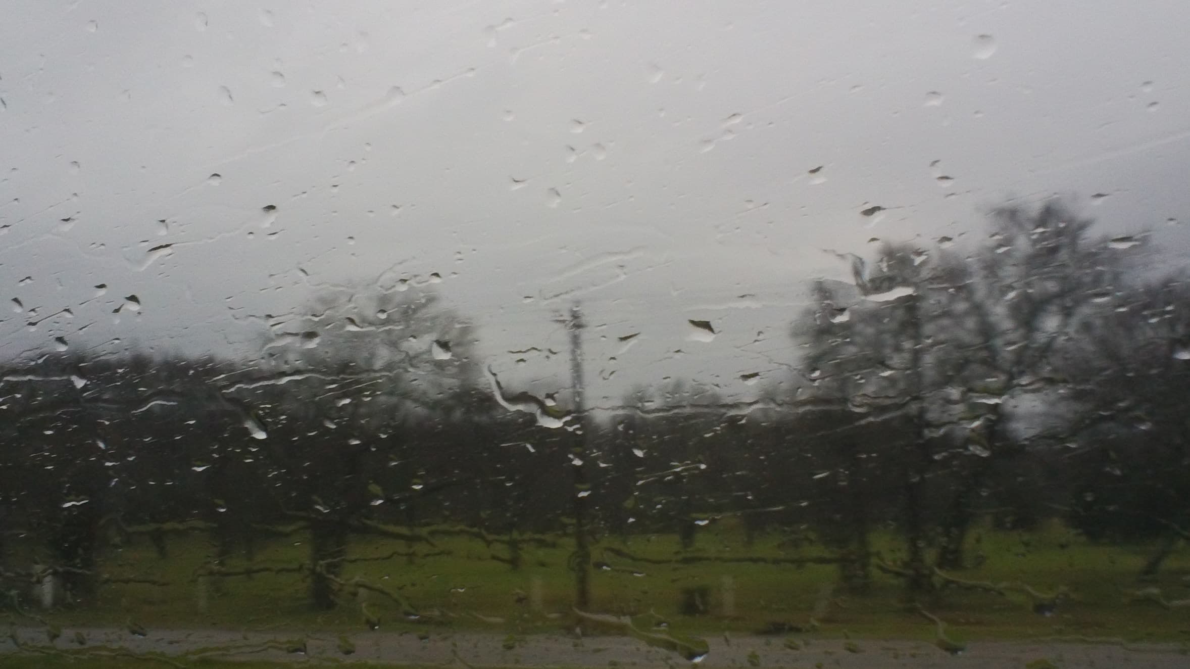 DSC00002.JPG