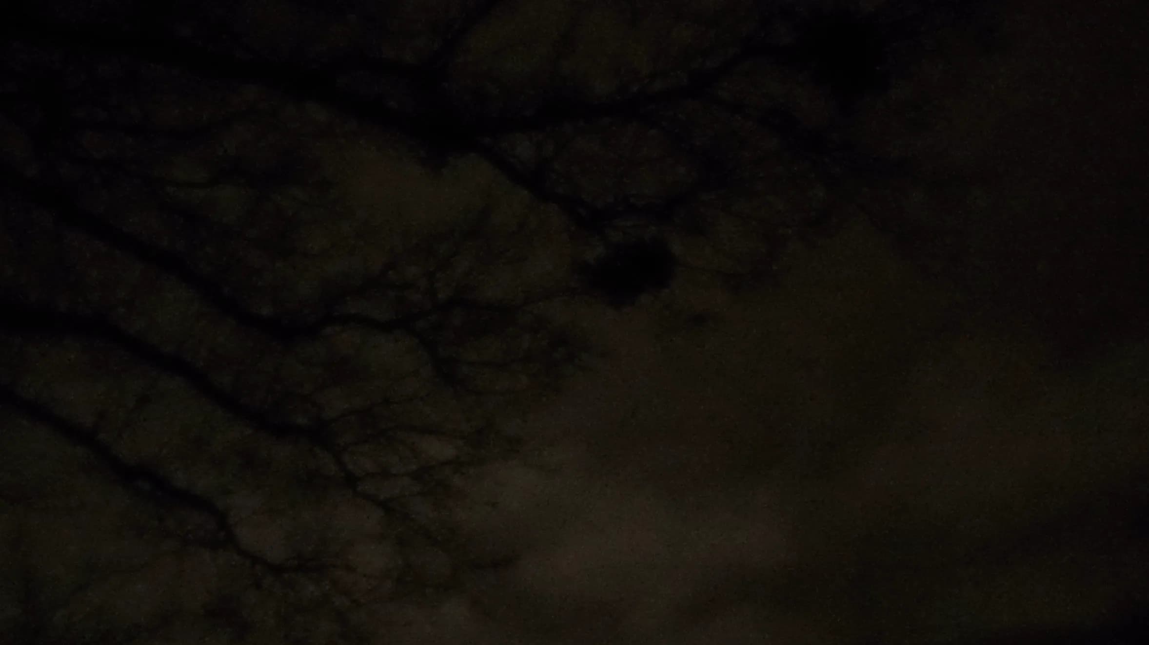 DSC00008.webp