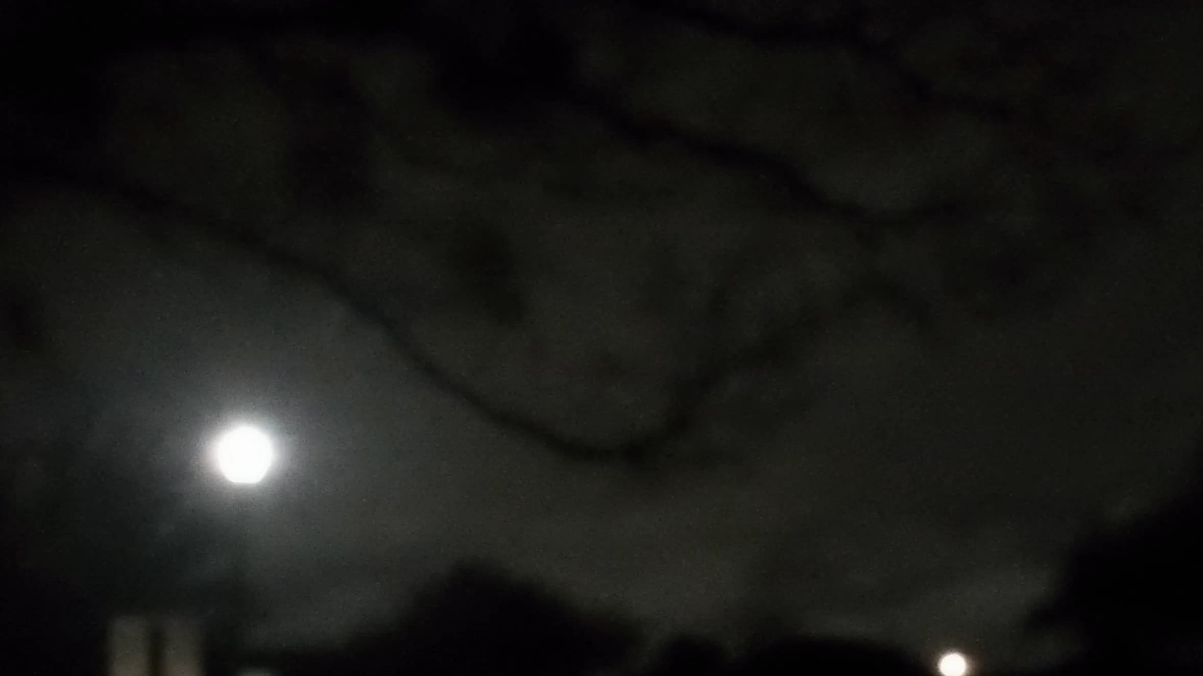 DSC00011.webp