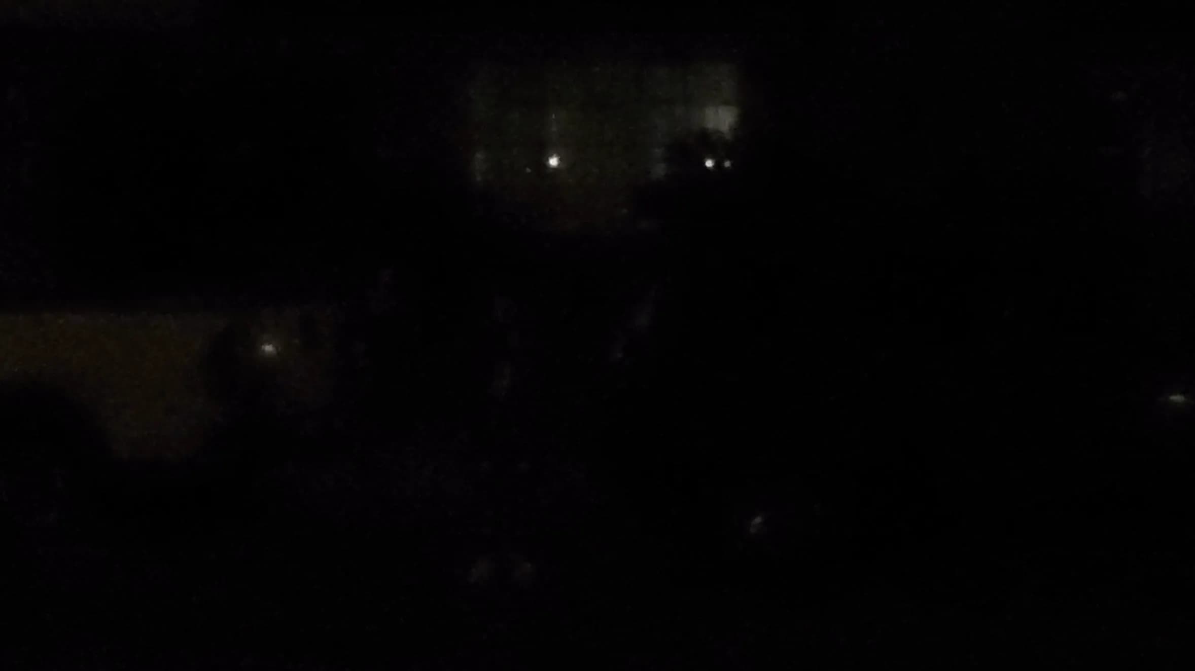 DSC00013.webp