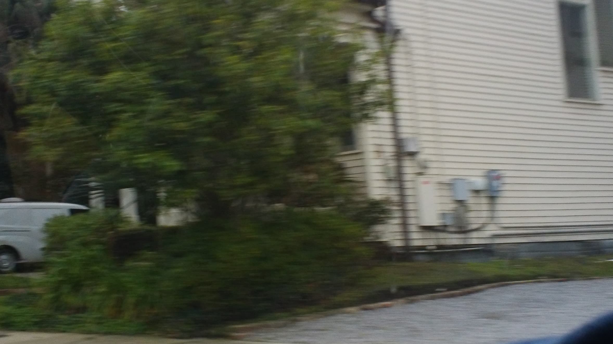 DSC00046.JPG