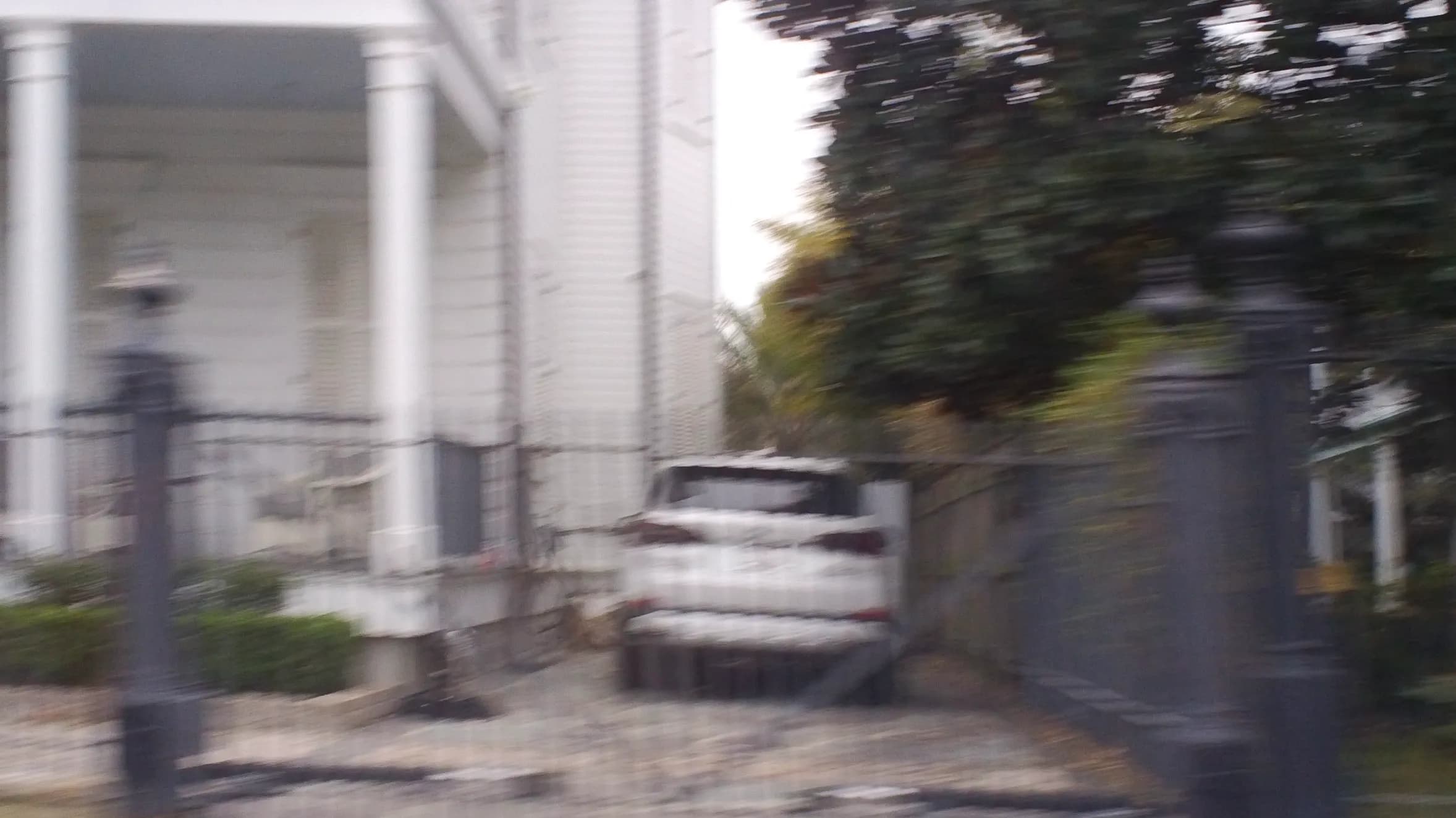 DSC00048.webp