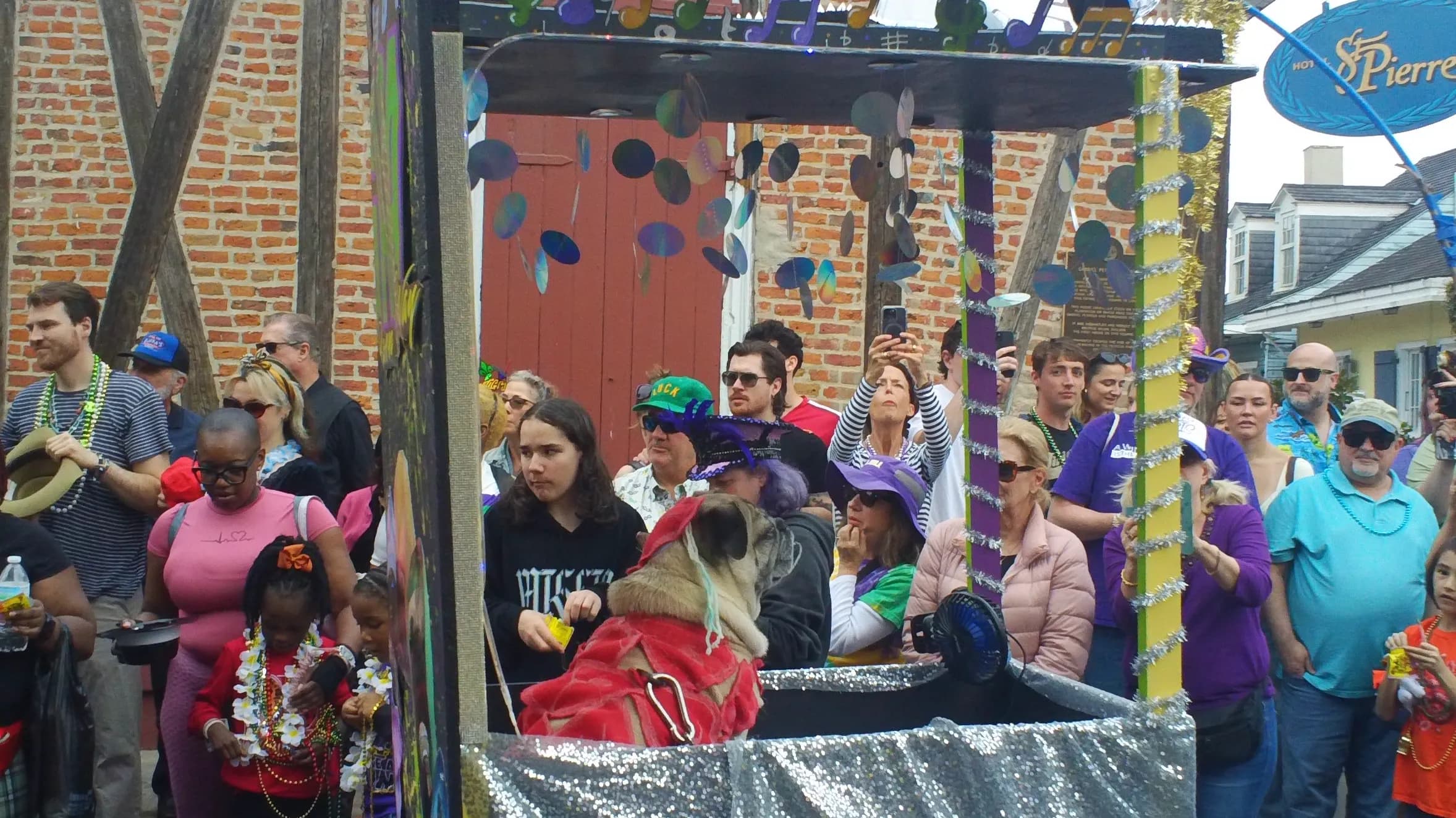 DSC00086.webp
