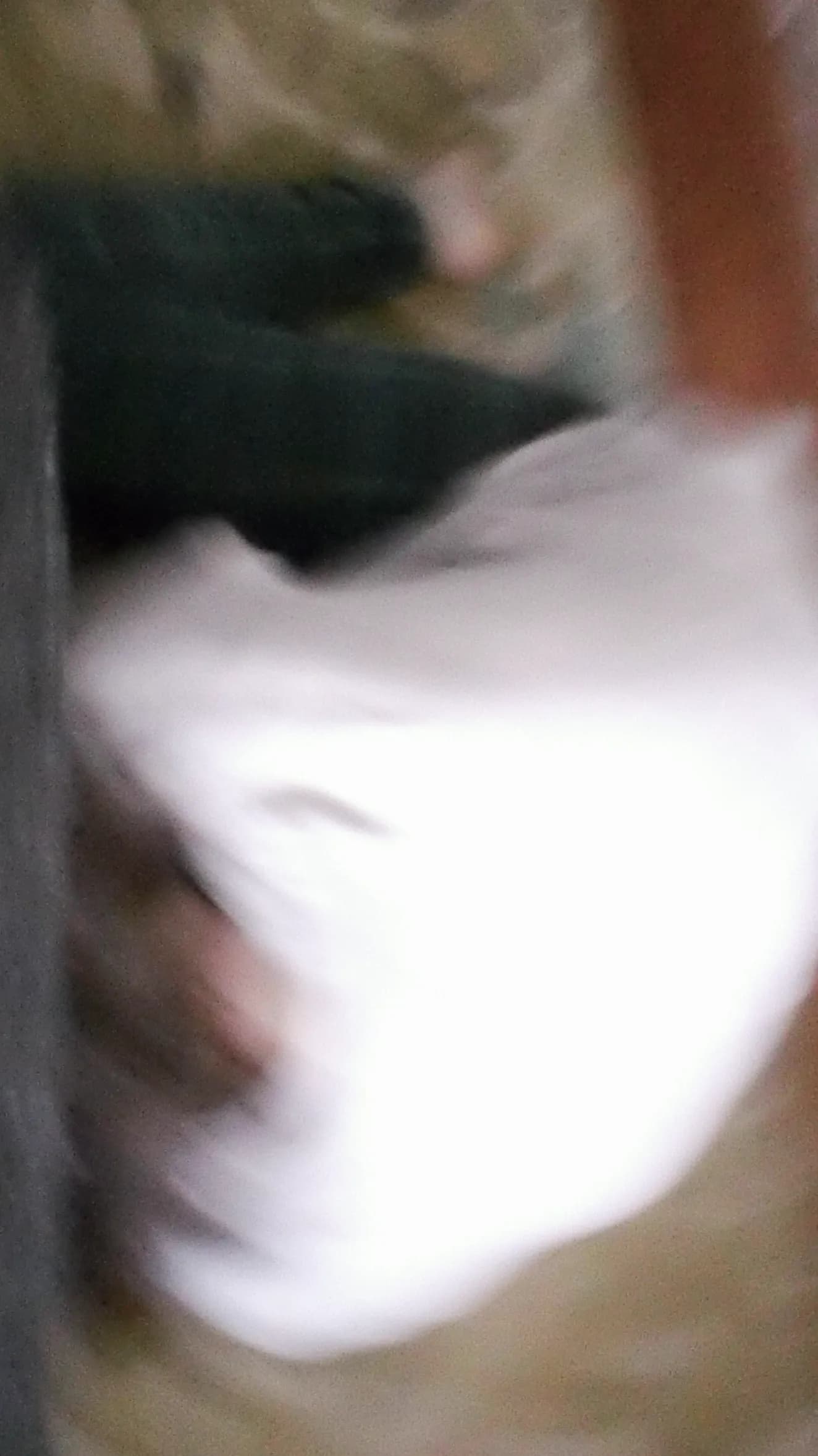 DSC00012.webp