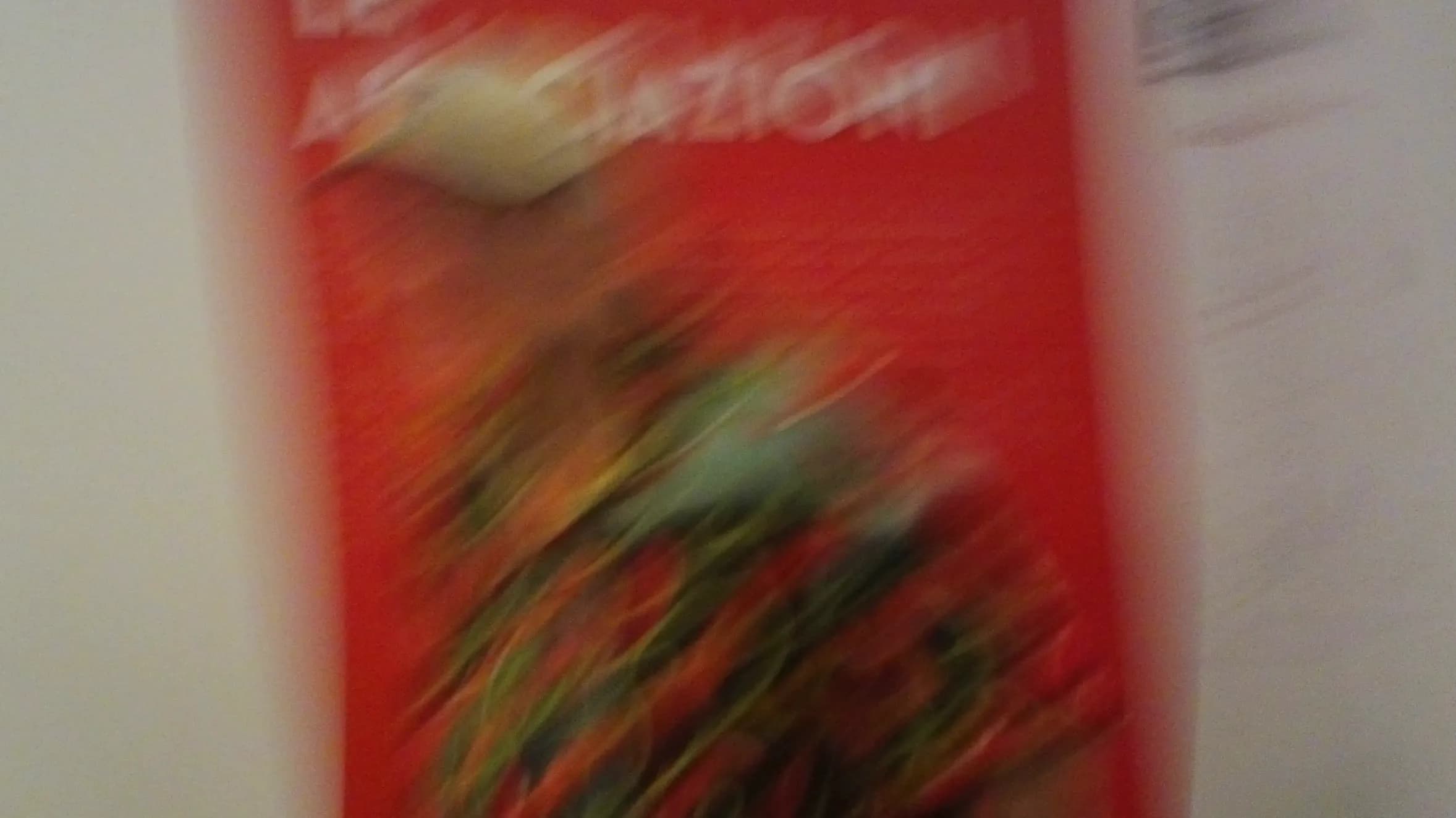 DSC00032.webp