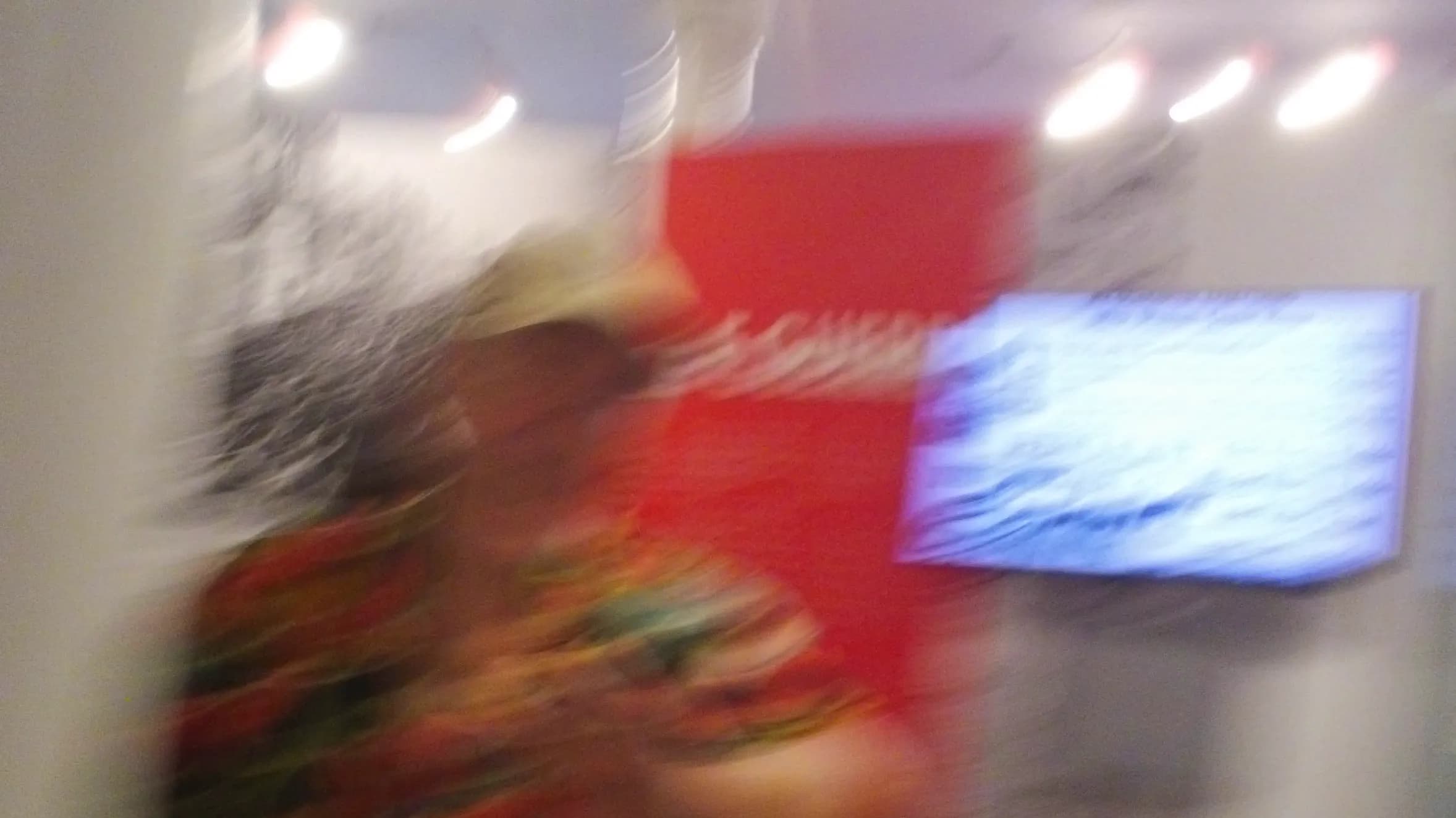 DSC00037.webp