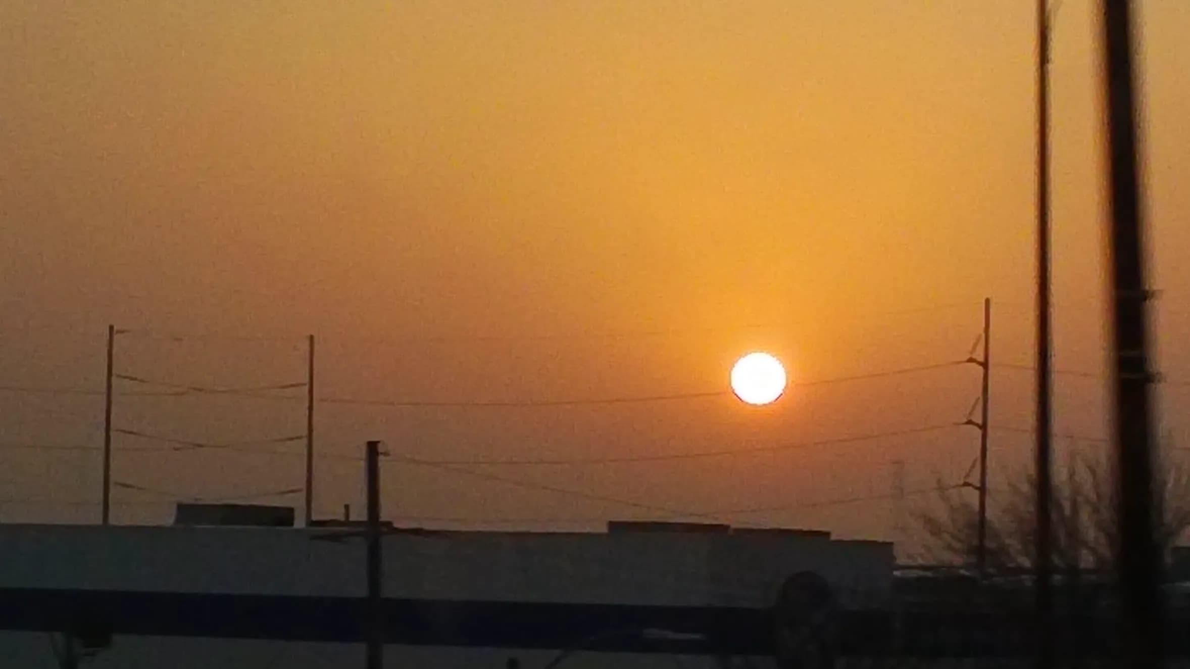 DSC00046.webp