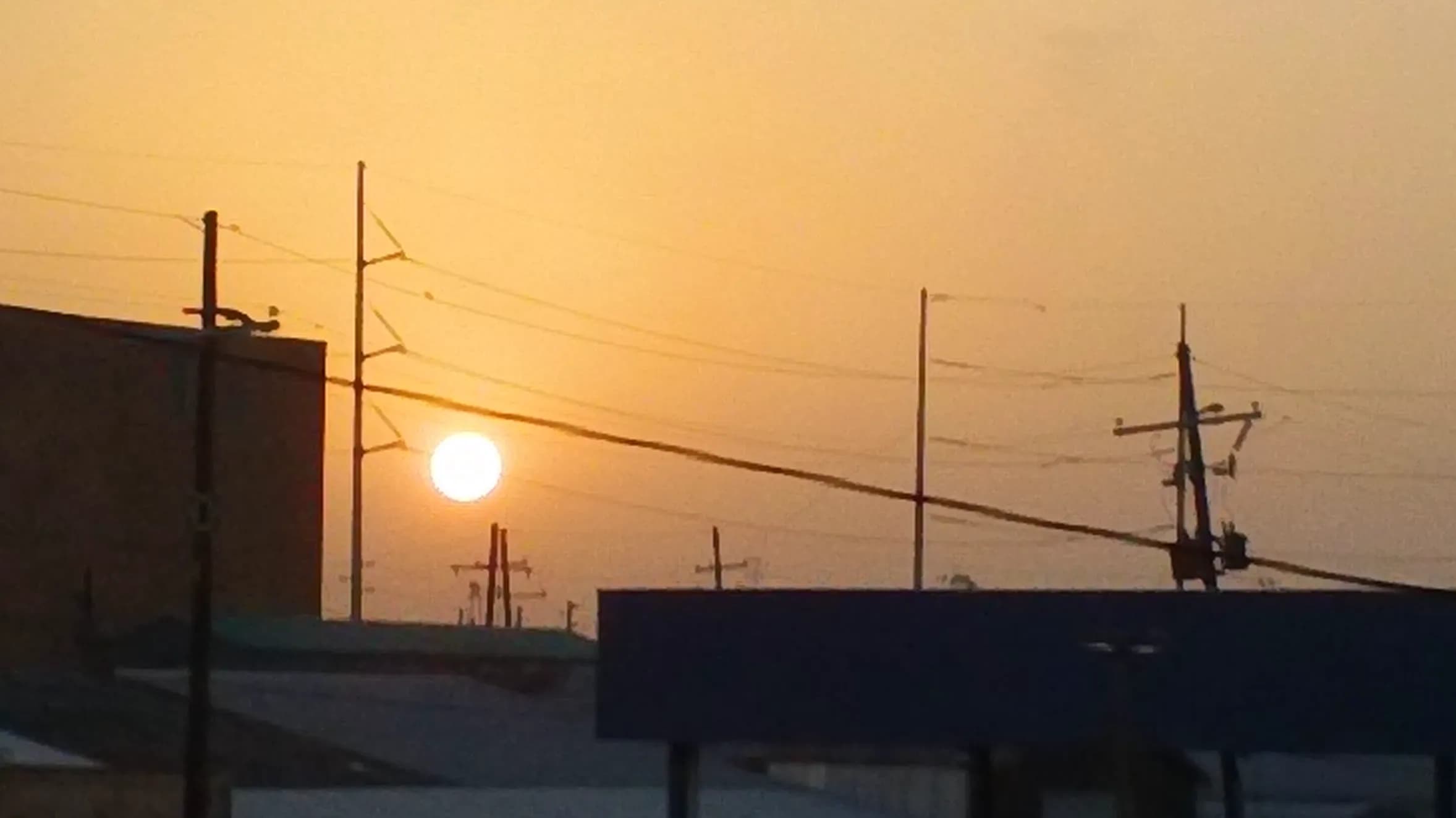DSC00047.webp