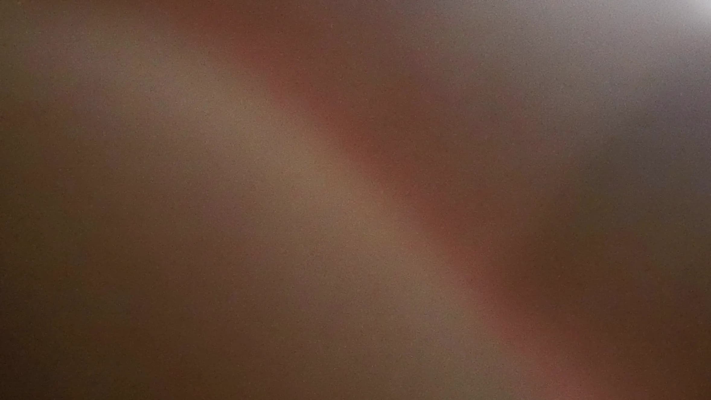 DSC00099.webp
